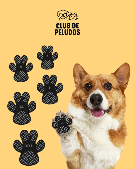 Protectoras Térmica de Patas para mascota